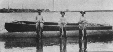 Delaware Bay Oyster Farming